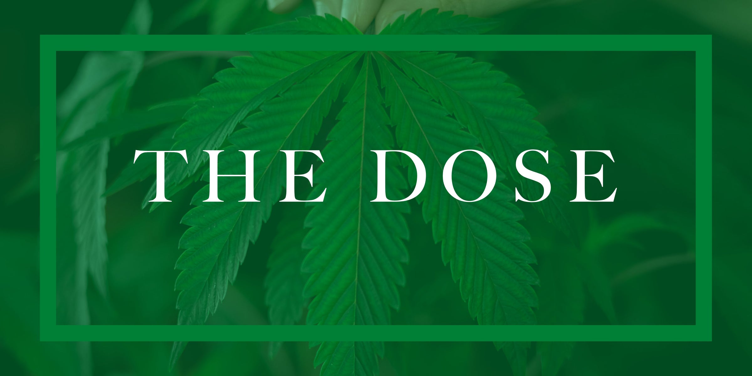 The Dose - The Daily Dose
