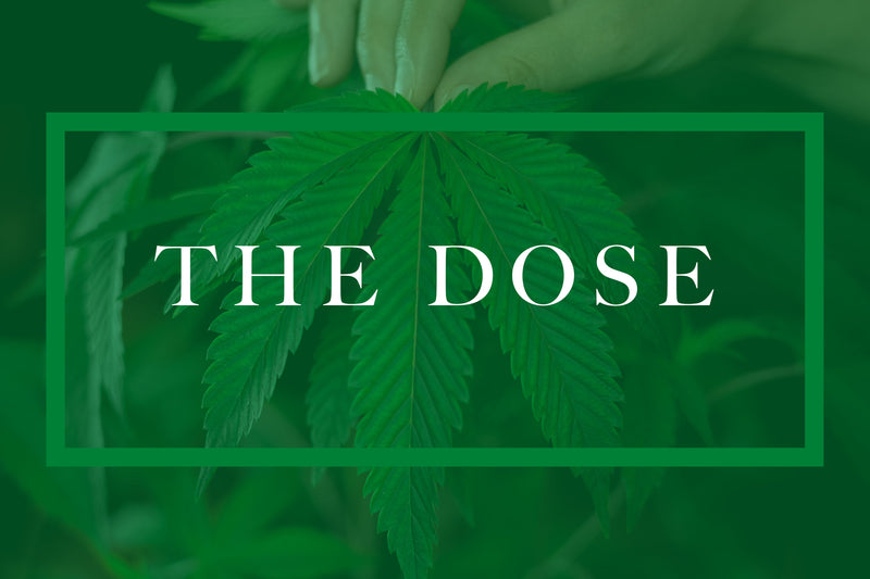 The Dose - The Daily Dose